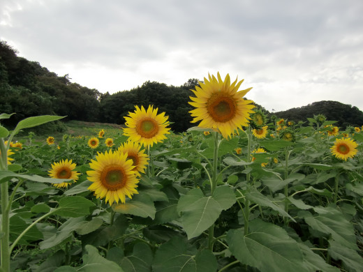 658148 (a): :1600x1200